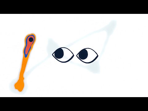 AR Eye Tracking & Biometrics