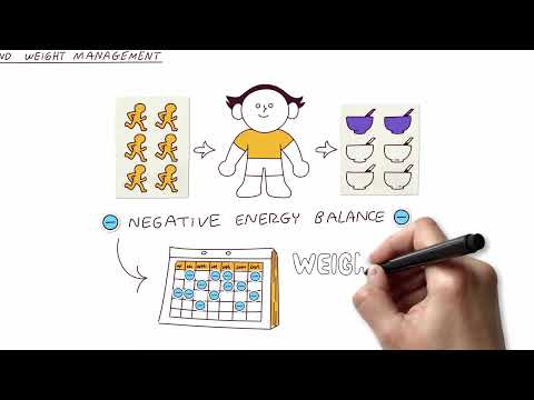 Energy Balance & Weight Management
