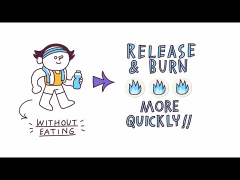 Exercise & Appetite